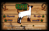 Greene Club Lambs